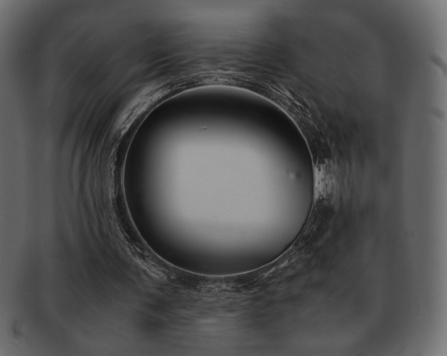 X0000093120291200709261333