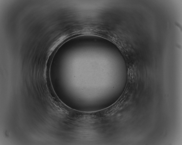 X0000093120292200709261333