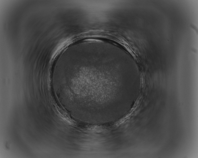 X0000093120293200709261333