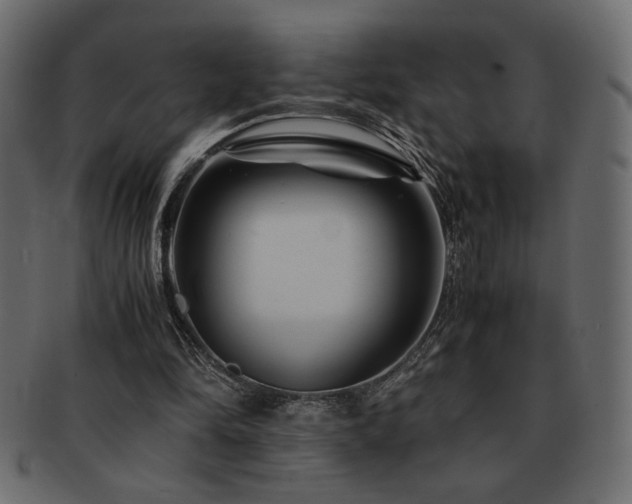 X0000093120294200709261333