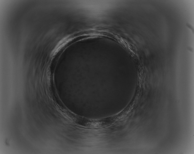 X0000093120295200709261333