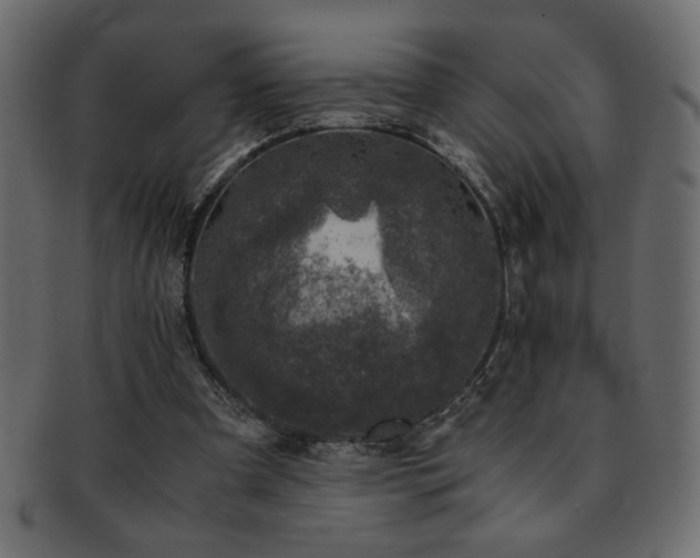 X0000093120297200709261333