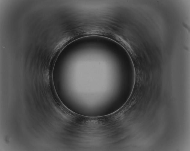 X0000093120298200709261333