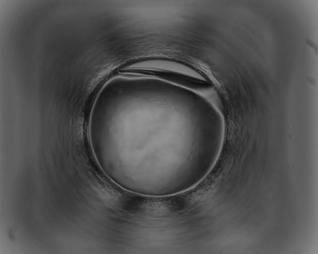 X0000093120299200709261333