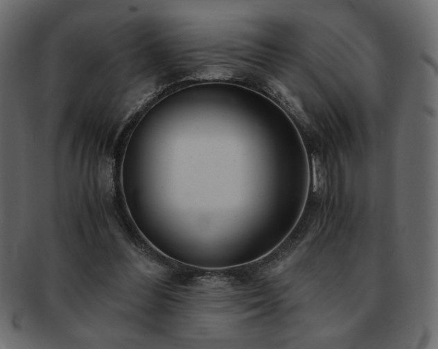 X0000093120300200709261333