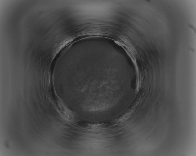 X0000093120301200709261333