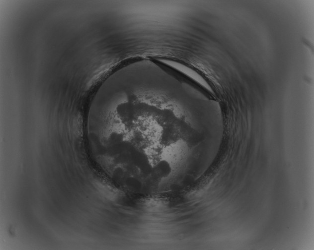 X0000093120303200709261333