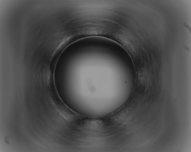 X0000093120304200709261333