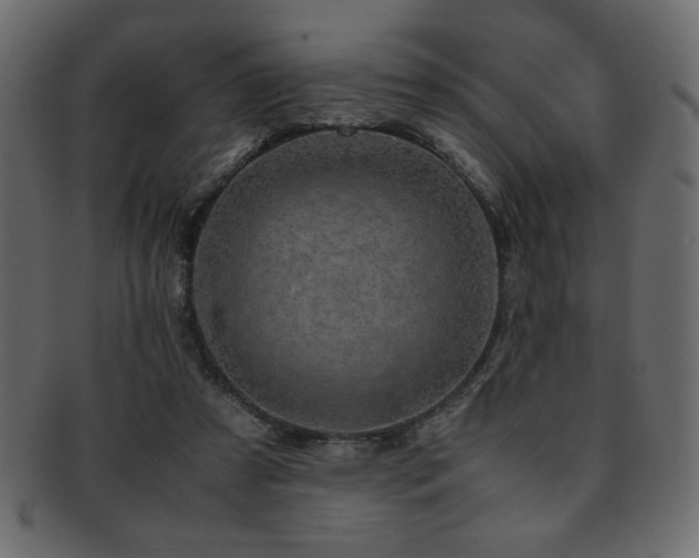X0000093120305200709261333