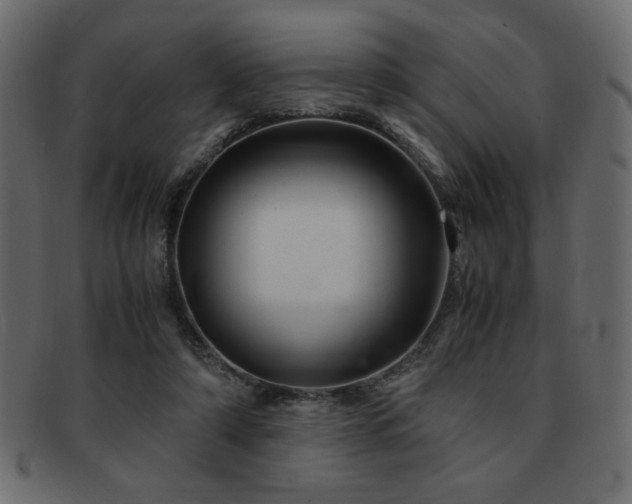 X0000093120306200709261333