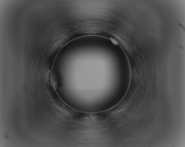 X0000093120307200709261333
