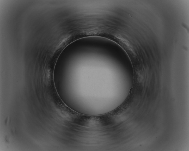 X0000093120308200709261333
