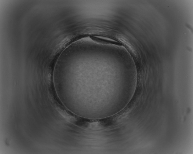 X0000093120309200709261333