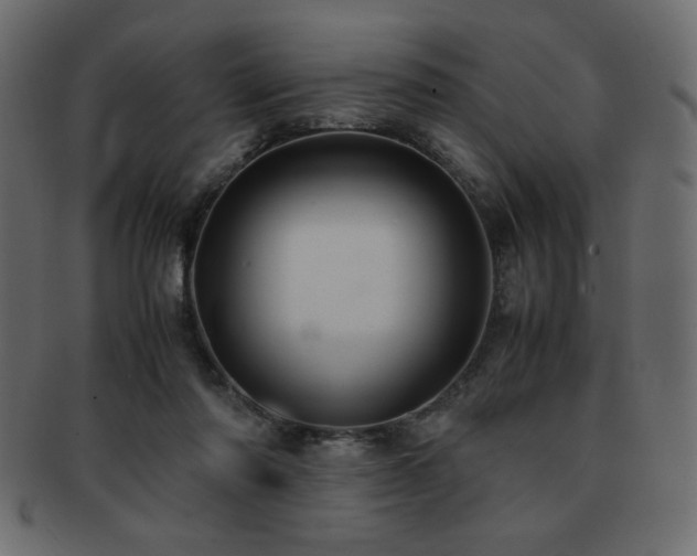 X0000093120310200709261333