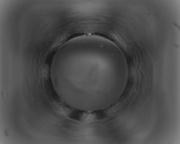 X0000093120311200709261333