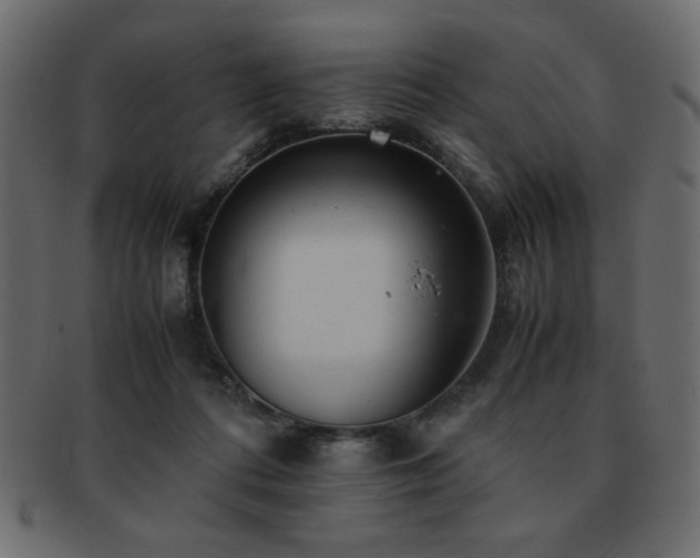 X0000093120312200709261333