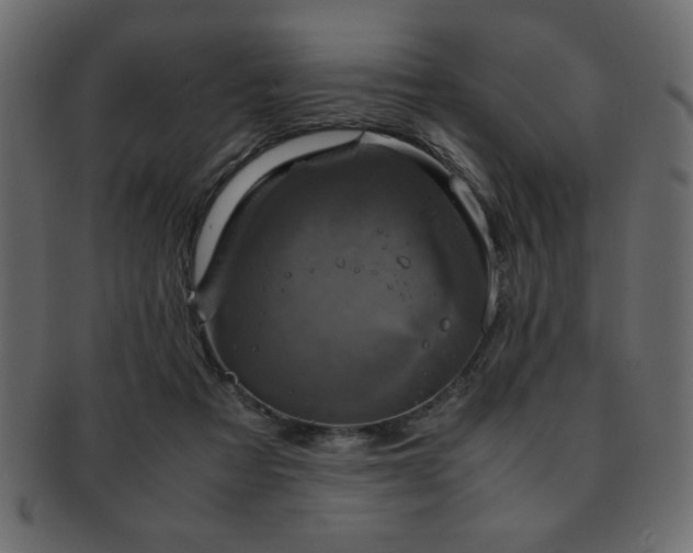 X0000093120313200709261333