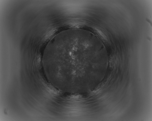 X0000093120314200709261333