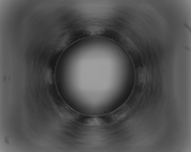 X0000093120316200709261333