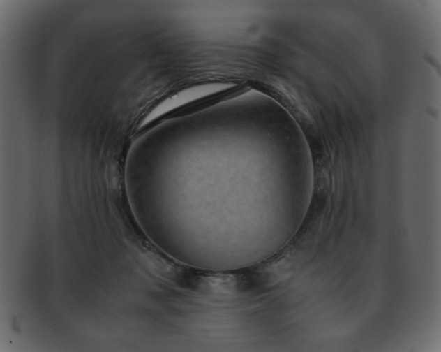 X0000093120317200709261333