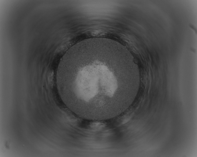 X0000093120319200709261333