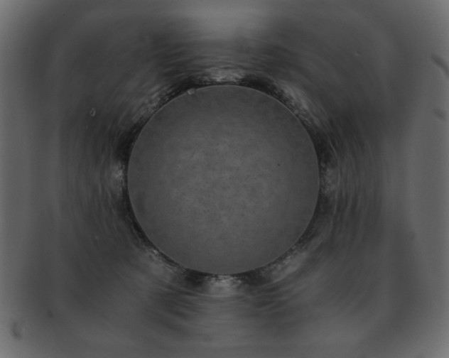 X0000093120321200709261333
