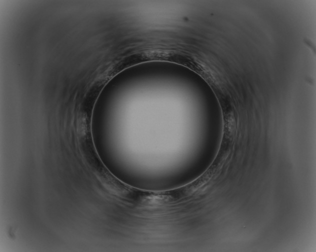 X0000093120323200709261333
