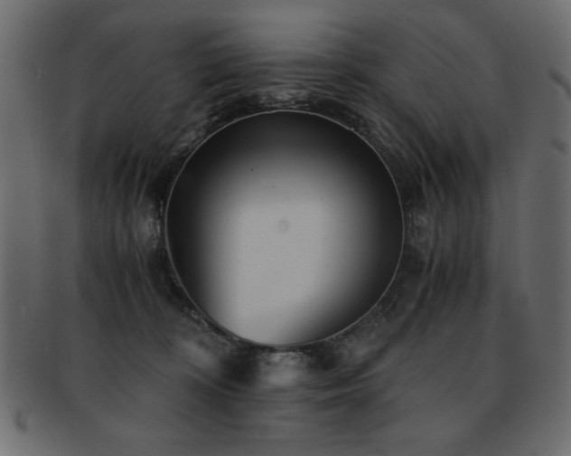 X0000093120324200709261333