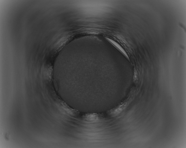 X0000093120325200709261333