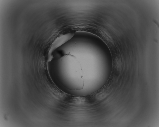 X0000093120328200709261333