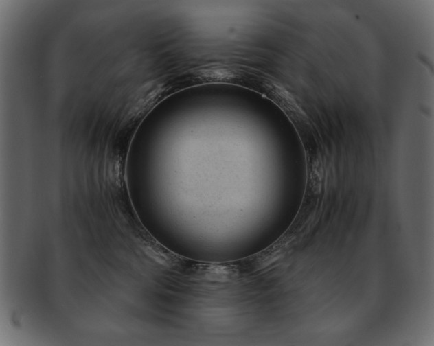 X0000093120330200709261333