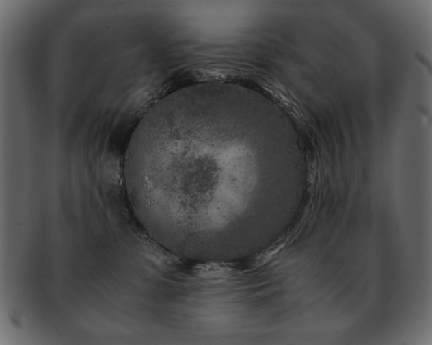X0000093120331200709261333