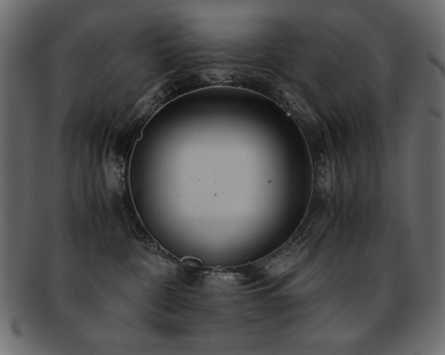 X0000093120332200709261333