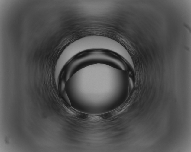 X0000093120333200709261333