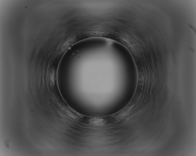 X0000093120334200709261333