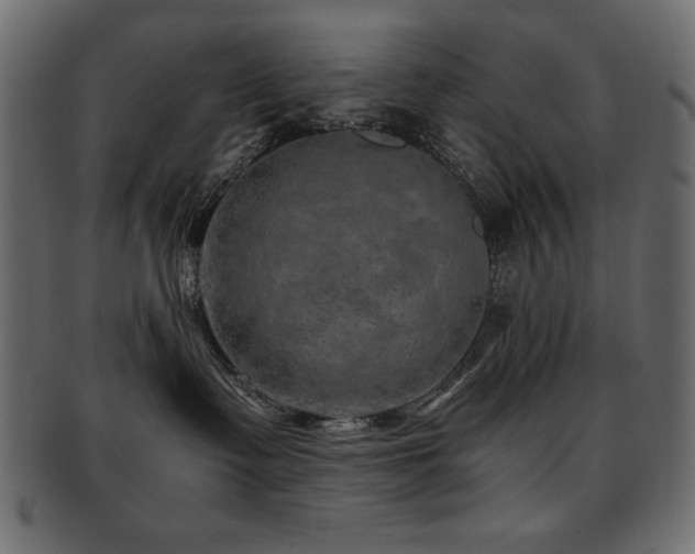 X0000093120335200709261333