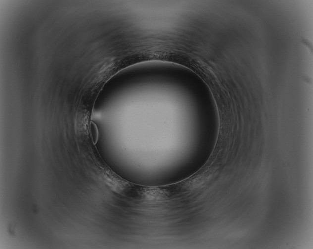 X0000093120336200709261333