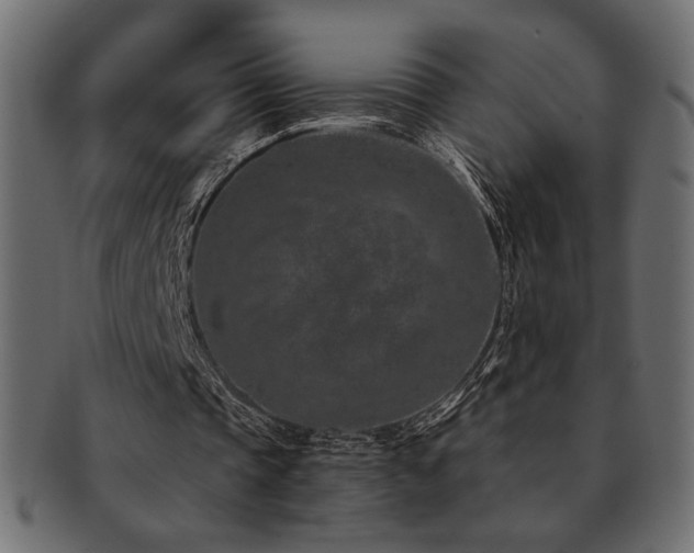 X0000093120337200709261332