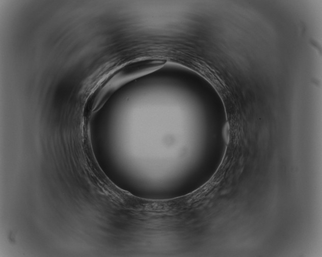X0000093120338200709261332