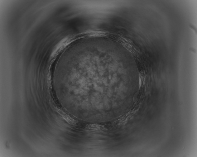 X0000093120339200709261332