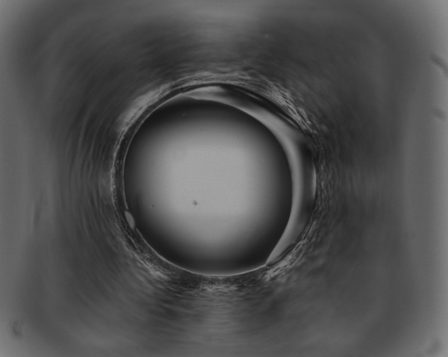 X0000093120340200709261332