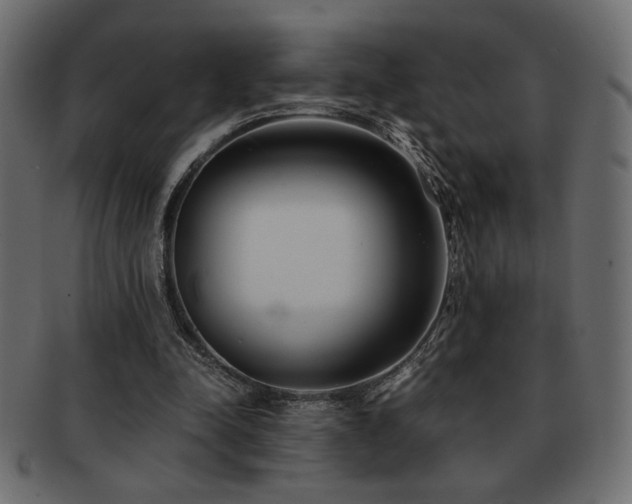 X0000093120342200709261332