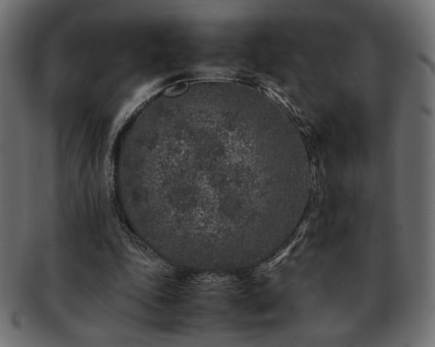 X0000093120343200709261332