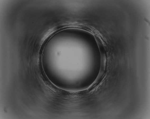 X0000093120344200709261332