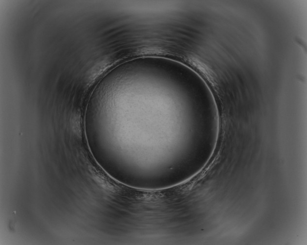 X0000093120345200709261332