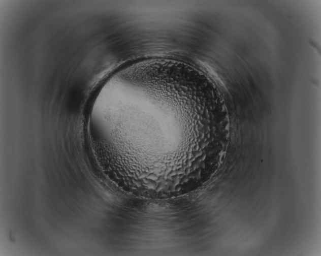 X0000093120346200709261332