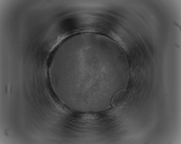X0000093120347200709261332