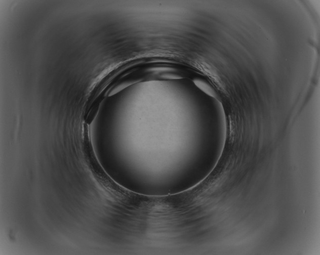 X0000093120348200709261332