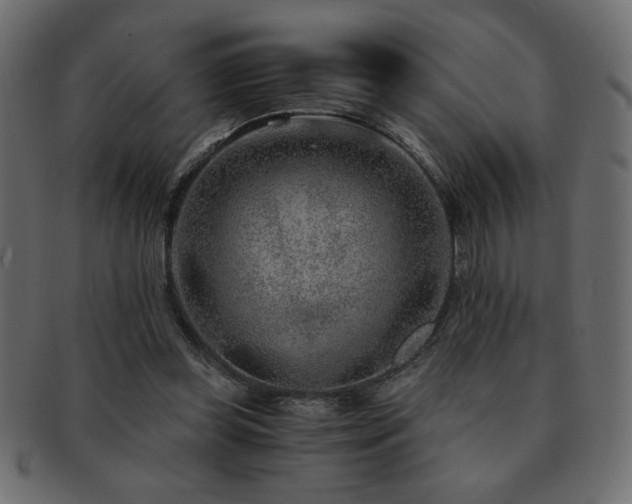 X0000093120349200709261332