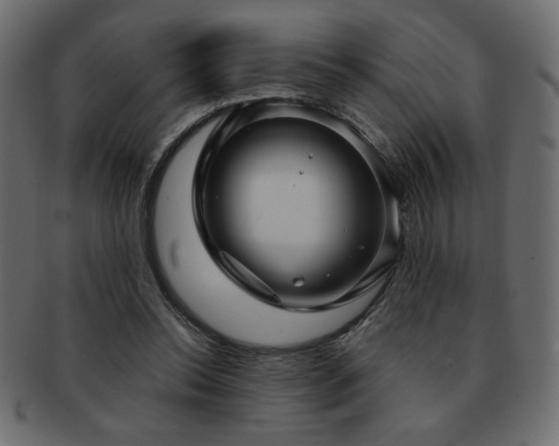 X0000093120350200709261332